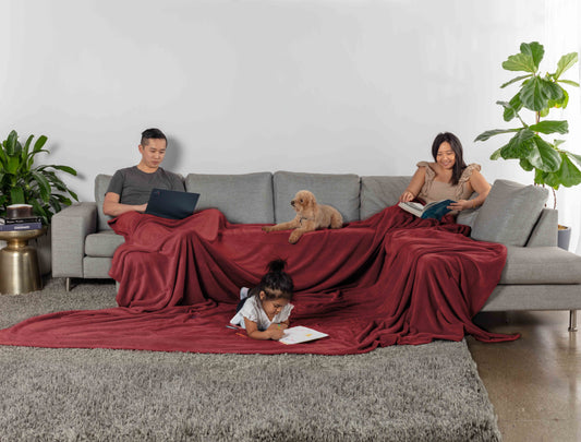 Truly Soft Velvet Plush Family Blanket