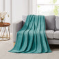 5th Avenue Lux Ultra Plush Throw Blanket
